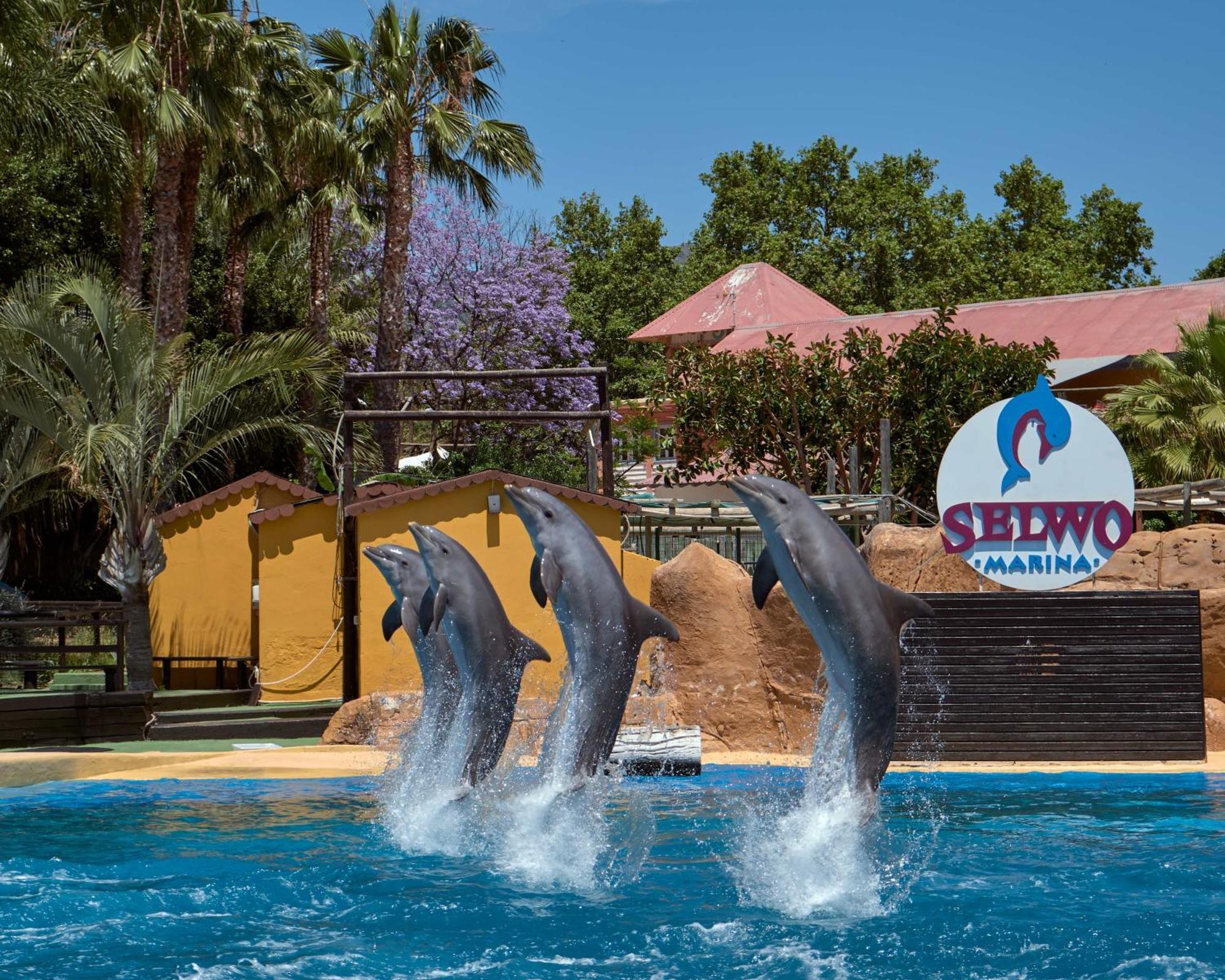 Apart With Swimming Pool Open All Year 베날마데나코스타 외부 사진